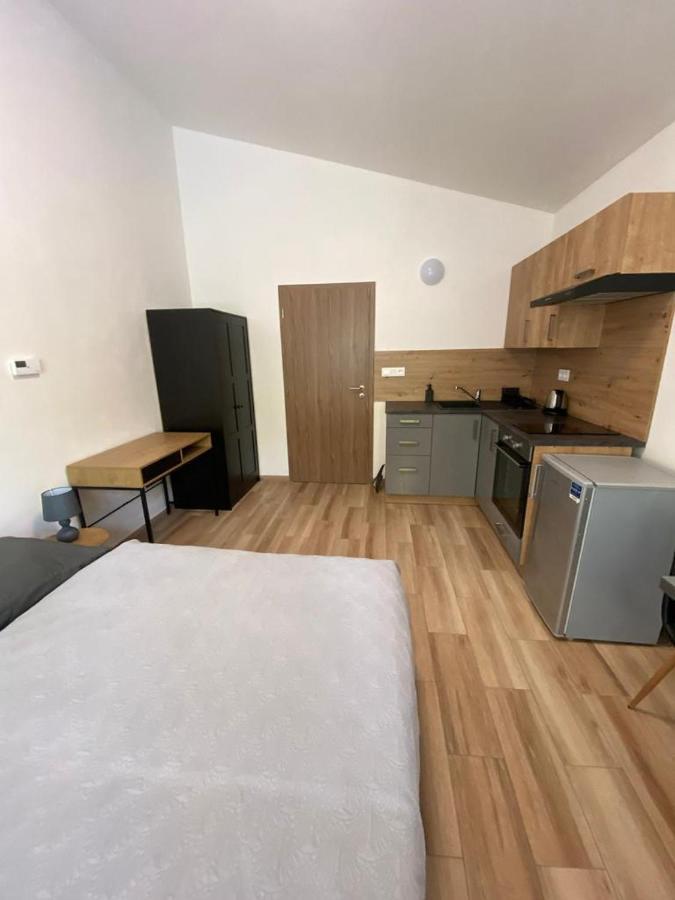 Cerna Ruze - 7 * Plzeň